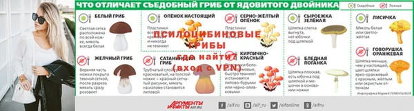 ECSTASY Кодинск