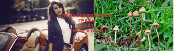 тгк Козельск
